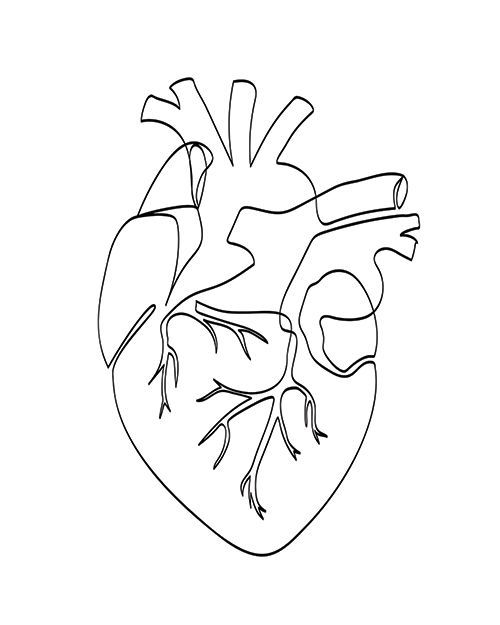 heart line drawing
